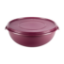 Picture of Bowl With Lid 10Lt - Cherry