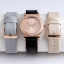 Picture of Trinity Ladies Changeable Strap Watch Set